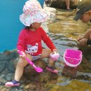 언니야PC 이미지