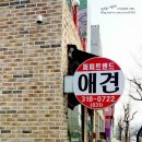 퍼피트렌드 네이버블로그