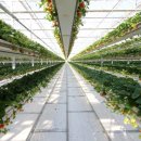 스마트그린에너지(주) 이미지