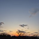 무릉쉼표 이미지