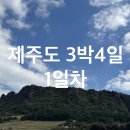 성산읍 고성리 1135-13 | 겨울 제주도 3박4일 1일차ㅣ엄마랑 둘이서 여행 11월 날씨, 옷차림, 빌리카후기