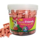 스타덴탈2 이미지