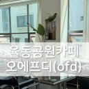 오에프디(OFD)