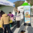 거제대구수산물축제 | 2026 거제 대구 수산물 축제 주차 총정리, 대구 가격 정보