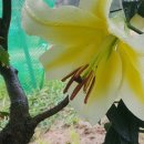 자연농장 이미지