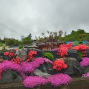 옥천 해뜨는집 가든 이미지