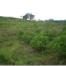 세기농장 이미지