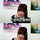 카드킹덤