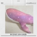 #해민 | 메리고라운드 은하수고래인형 예쁜 애착인형