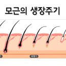 아띠의원 네이버블로그