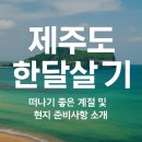 🌴 제주도 한달살기: 떠나기 전, 마음속 여행을 시작하다