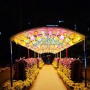 “금강경과 유식사상”(무아와 마음의 구조)-안필섭교수(원광대학교 디지털대교수/범어학교 교장)-불기2569년 11월 정기법회 봉행!! 이미지