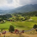 스카이뷰 이미지