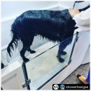 샤워하시개 이미지