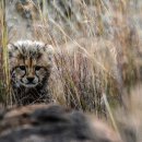 그린노래연습장 이미지