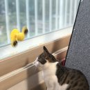 파인드스토리 이미지