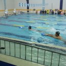 용인대 수영 태권도장 이미지