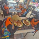 서초용인대태권도 이미지