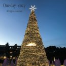 간절곶공원 주차장 | 울주 간절곶 대형트리 포토존｜새해 첫날 방문 후기