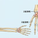 고고 힐링 제 4부 이미지
