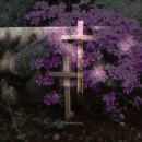 오포1동-20 이미지