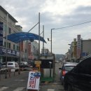 죽도시장 - 포항시 북구 죽도시장길 28 | 죽도시장