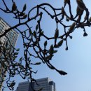 세무회계남천 - 5742 | 세무회계남천