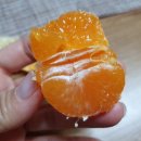 양지청과 이미지