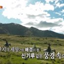 아빠어디가바다낚시 | TV &#39;정글의 법칙&#39; 아니 &#39;집사부일체&#39;…촬영 후기