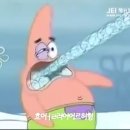 뚱이