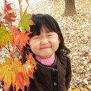 시낭공원 이미지