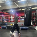 강남체육관 | [강남복싱] 강남, 선릉 복싱 체육관 '홍수환스타복싱' 다녀 온 후기 !