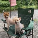 힐링가평오토캠핑장 이미지