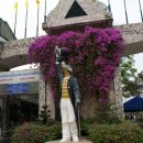 동상농장 이미지