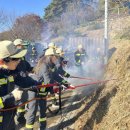 가야산국립공원사무소 이미지