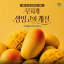부천 샤브올데이 부천중동점 망고올데이 무지개생망고 내돈내산 방문 후기