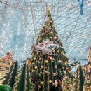 은하수도서관 | 서울 코엑스 트리명소 별마당 도서관 주차정보와 포토존