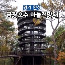 안성시 관광지원센터 | 안성 금광호수 데크길VS조용한길 하늘전망대까지 두가지 코스 비교