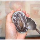 완도참전복 이미지