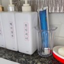 비치화이트애견펜션 네이버블로그
