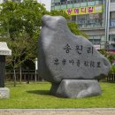 한솔동_주민센터(입구) 네이버블로그