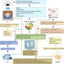 케톤생성 식사의 자가면역염증, 치매, 파킨슨, 각종질환 치료기전!! 2022년 nature 이미지