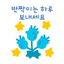 니트수선 이미지