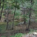 남이자연휴양림 이미지