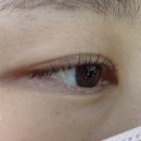 안산길 | 순천속눈썹 보브래쉬, 연향동 속눈썹펌 자연스럽게 잘하는 곳💛