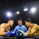 스톰복싱 이미지