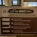 비치스파랜드 | 부산 해운대 실내 데이트 센텀 스파랜드 이용 후기