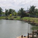 연당낚시터 이미지