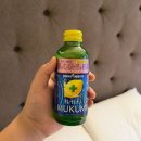 (주)미나투어 | [🇯🇵삿포로여행] 2일차 비에이투어 (탁신관 갤러리, 흰수염폭포, 비에이역, 준페이, 크리스마스트리)