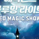 매직랜드 이미지